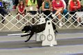 IMG_2087