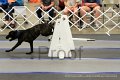 IMG_2090