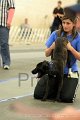 IMG_2095