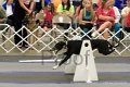 IMG_2103