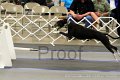 IMG_2105