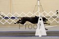 IMG_2188