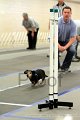 IMG_2200