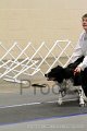IMG_2220