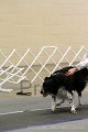 IMG_2228