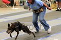 IMG_2252