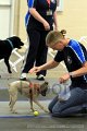 IMG_2258