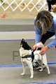 IMG_2261