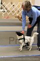 IMG_2263