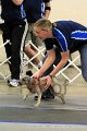 IMG_2264
