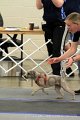 IMG_2265
