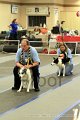 IMG_2276