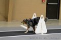 IMG_0332
