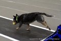 IMG_2427