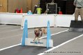 IMG_1595