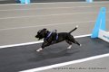 IMG_1663