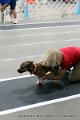 IMG_1787