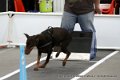 IMG_2279