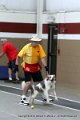 IMG_2425