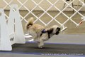 IMG_7547