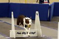 IMG_8347