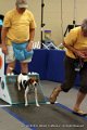 IMG_8357