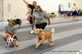 IMG_9150