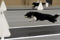 IMG_1031