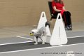 IMG_1792