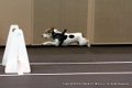 IMG_5490