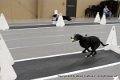 IMG_9599