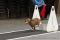 IMG_0040