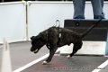IMG_0225