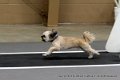 IMG_0511