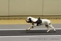 IMG_3963