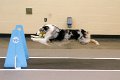 IMG_1051