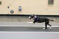 IMG_1054