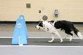 IMG_1064