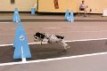IMG_1806