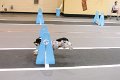 IMG_1807
