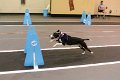 IMG_1812