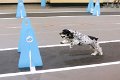 IMG_1840