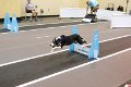 IMG_1843