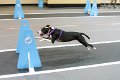 IMG_1844