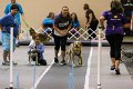 IMG_2821