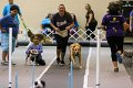 IMG_2823