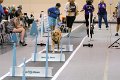 IMG_3902