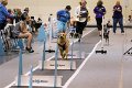 IMG_3903