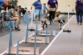 IMG_3918