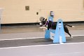 IMG_4410